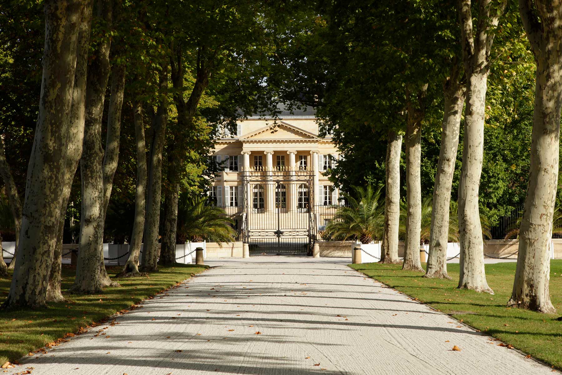 luxury bordeaux wine tours