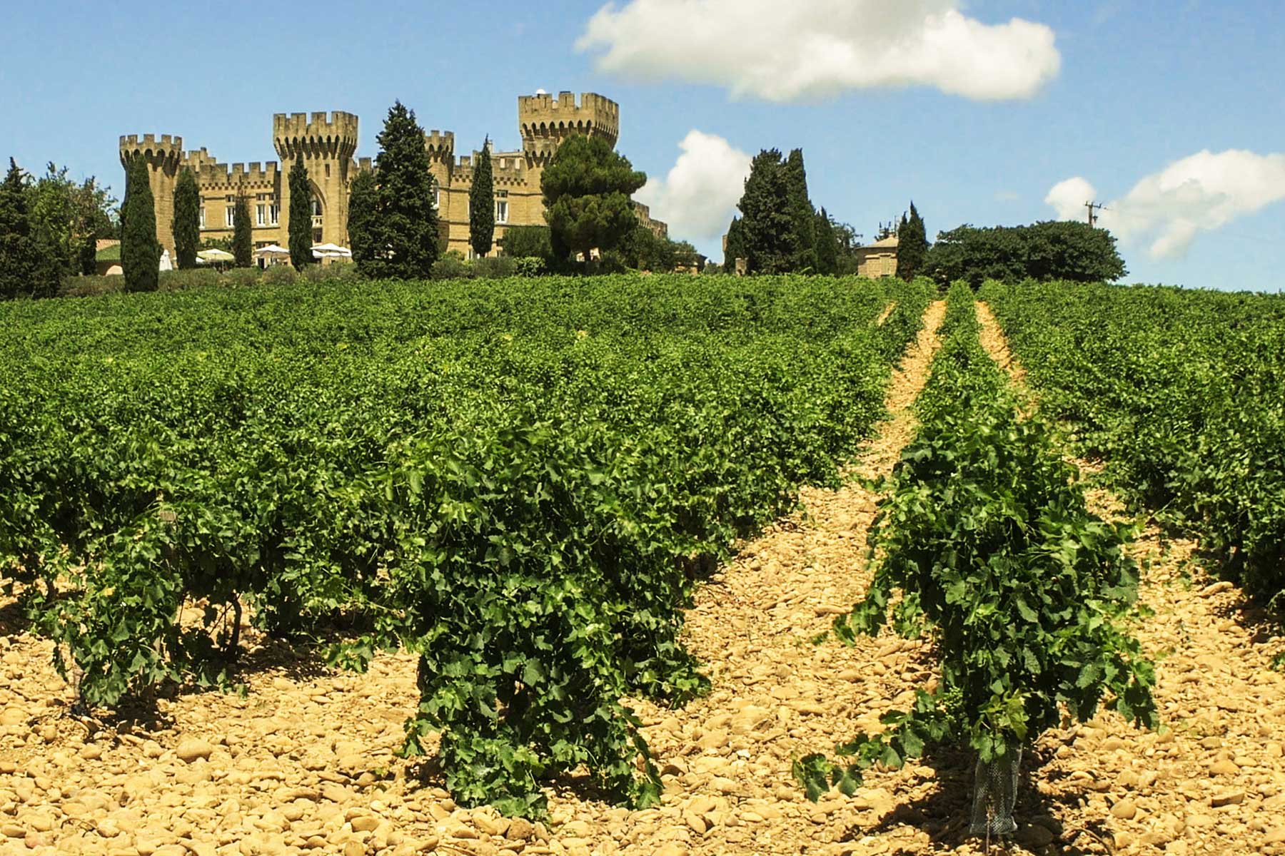 luxury bordeaux wine tours