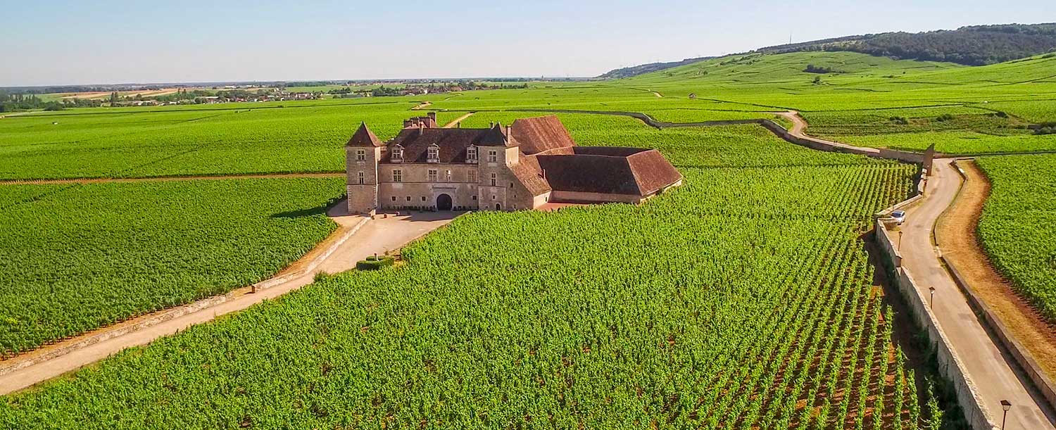 burgundy wine tour from lyon