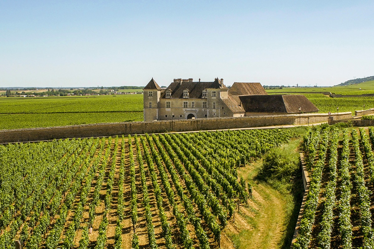 burgundy wine tour from lyon