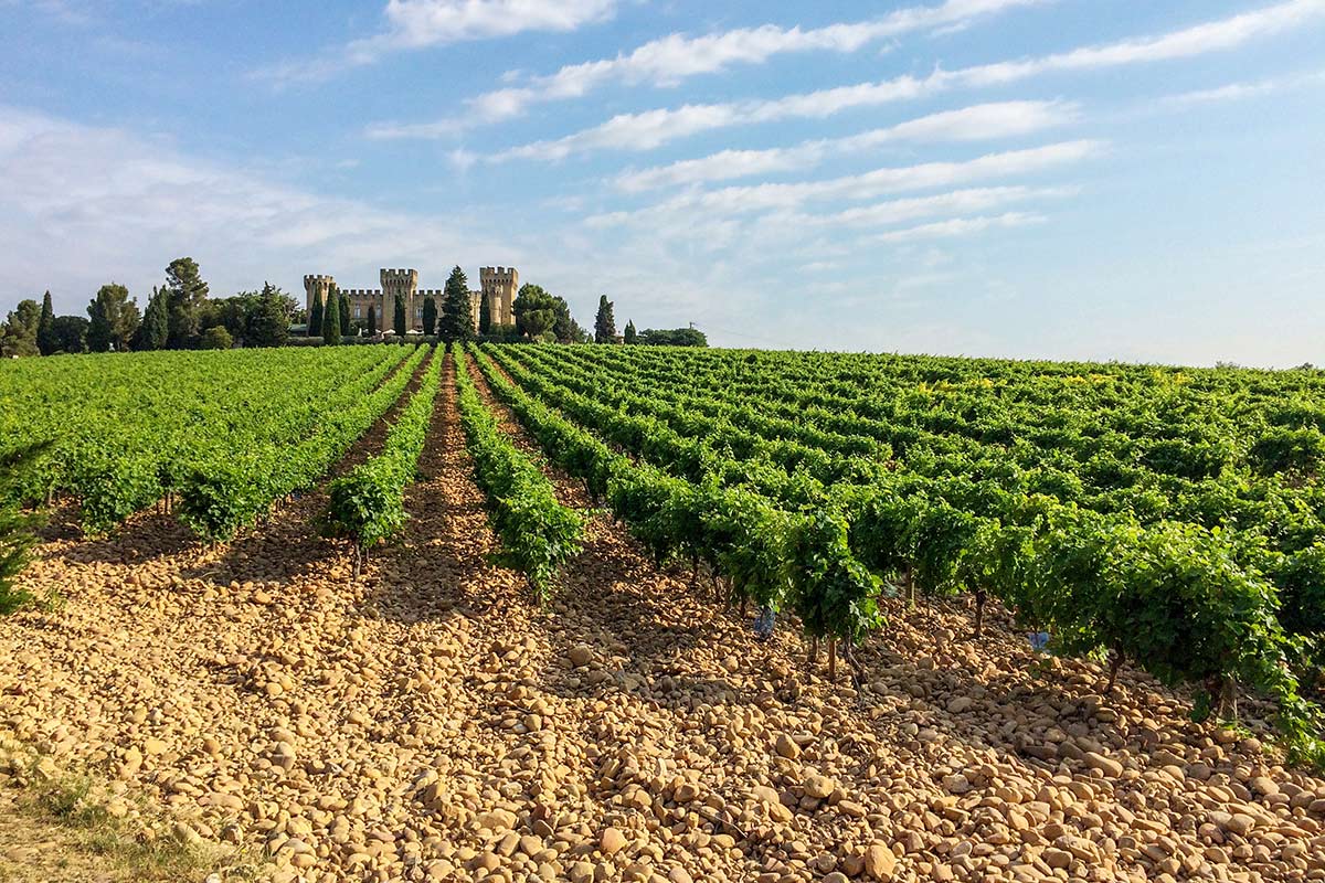 wine tour rhone