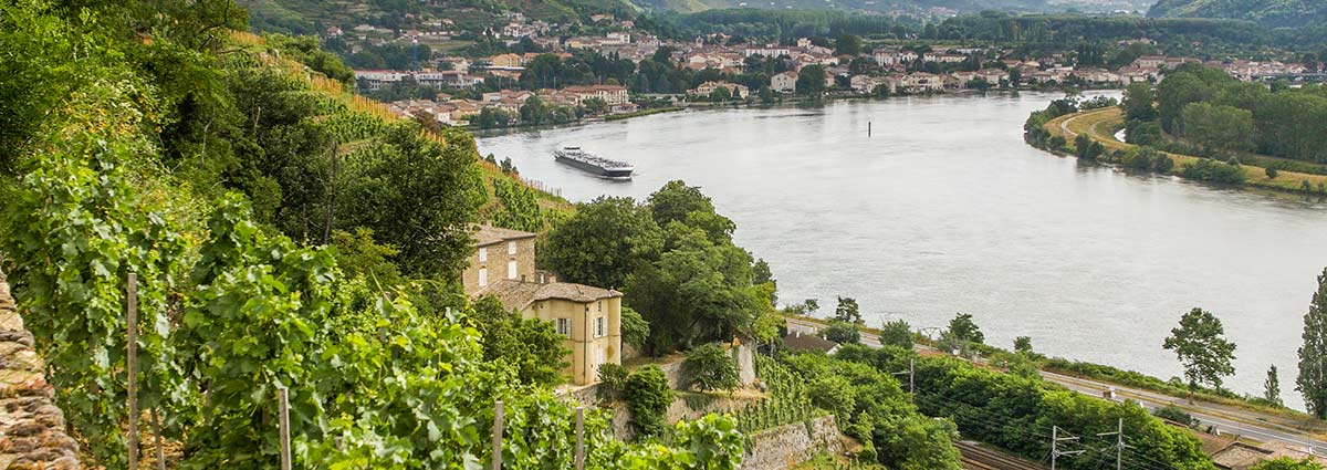 rhone vineyard tours