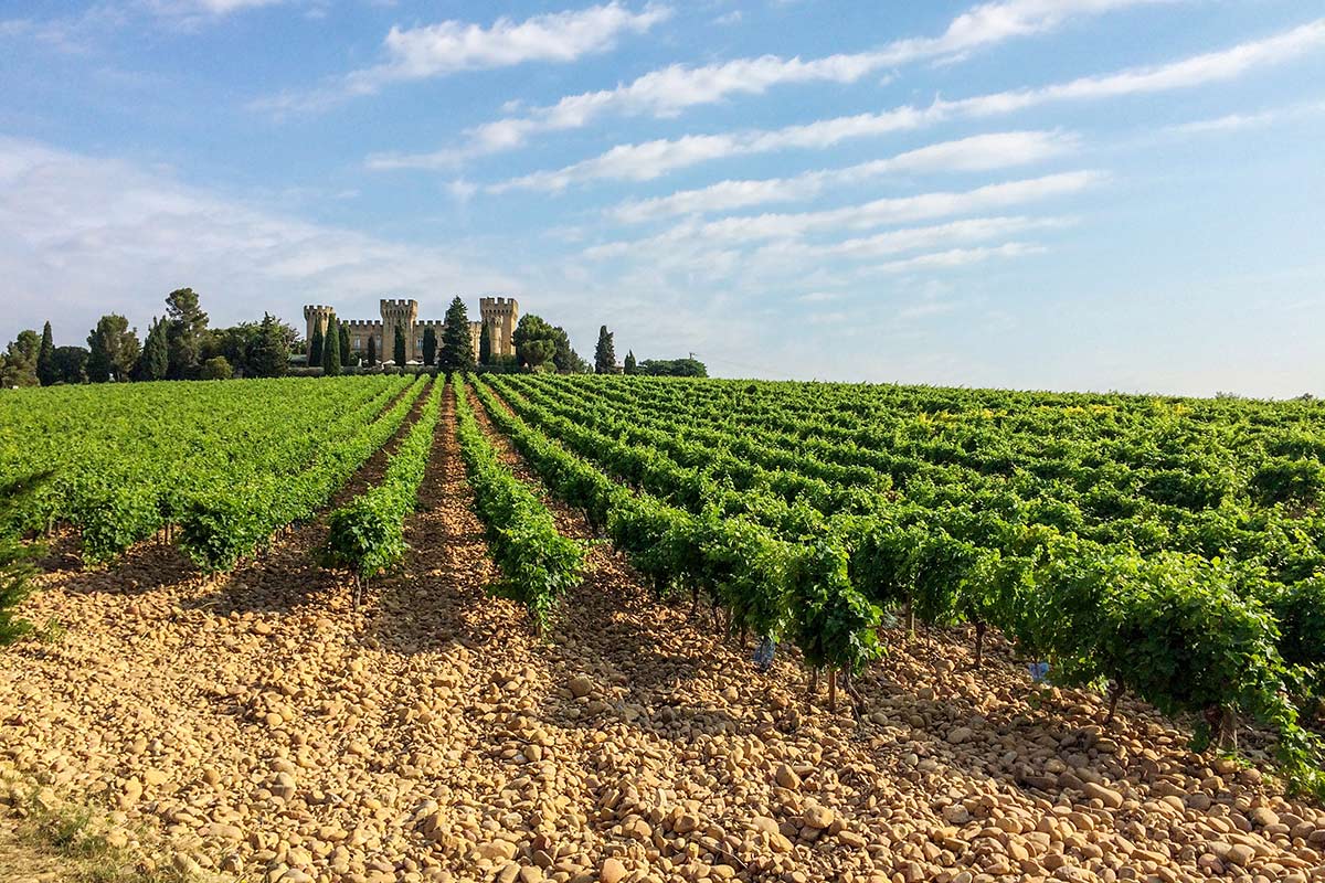 wine tour rhone