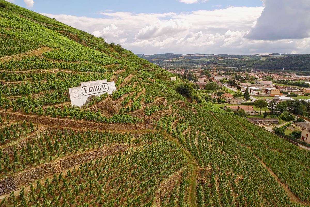 rhone vineyard tours