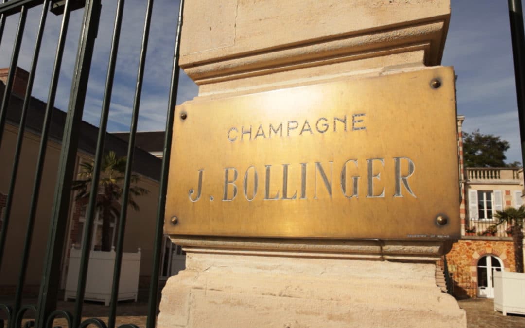 James Cluer in Champagne, France. Bollinger