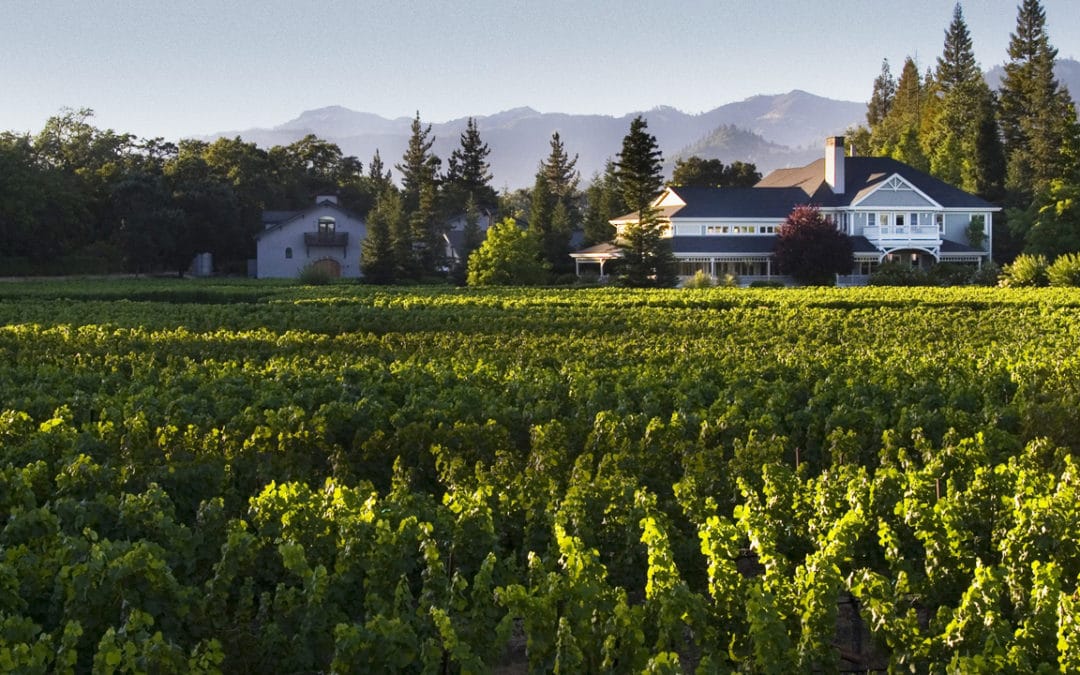 James Cluer in Napa, California.  Duckhorn Vineyards