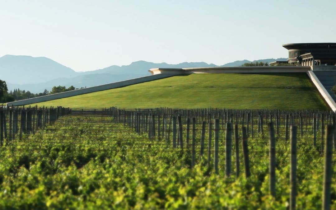 James Cluer in Napa, California.  Opus One