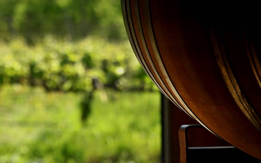 James Cluer in Napa, California.  Saintsbury