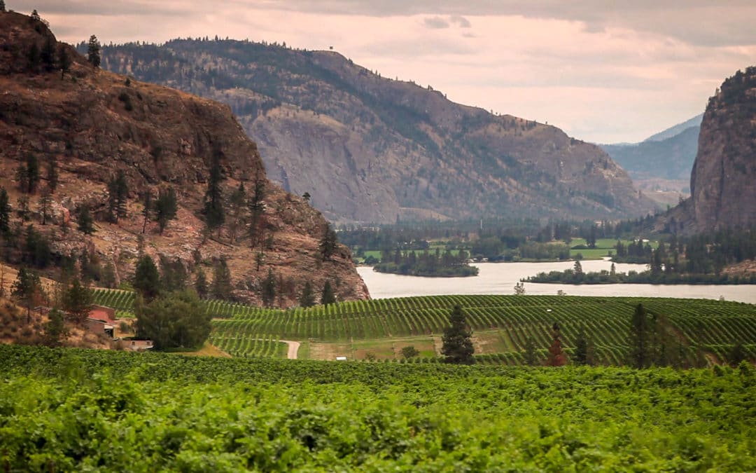 James Cluer in the Okanagan Valley BC, Canada. Places to stay.