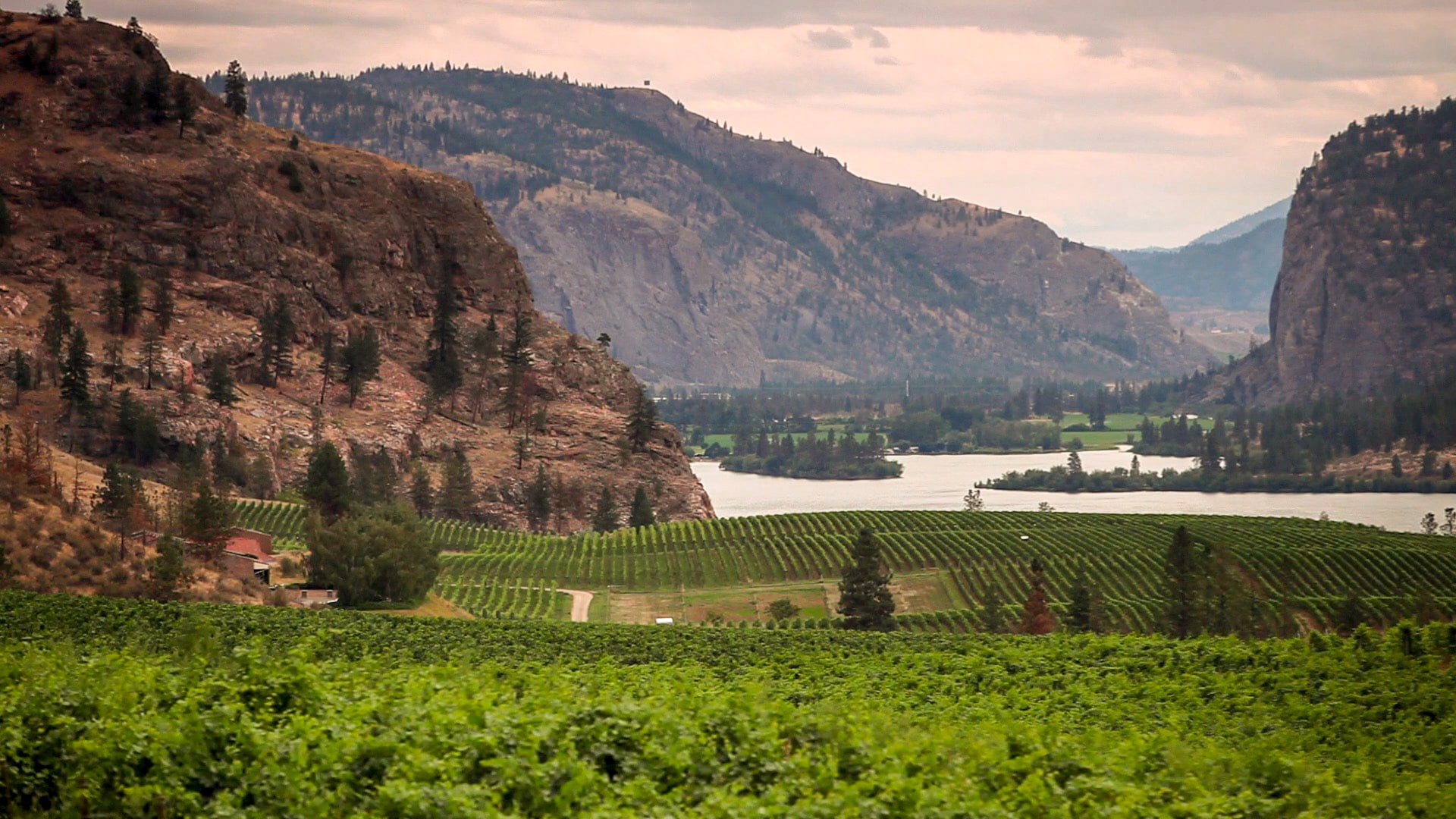 James Cluer in the Okanagan Valley BC, Canada. Places to stay. - Fine
