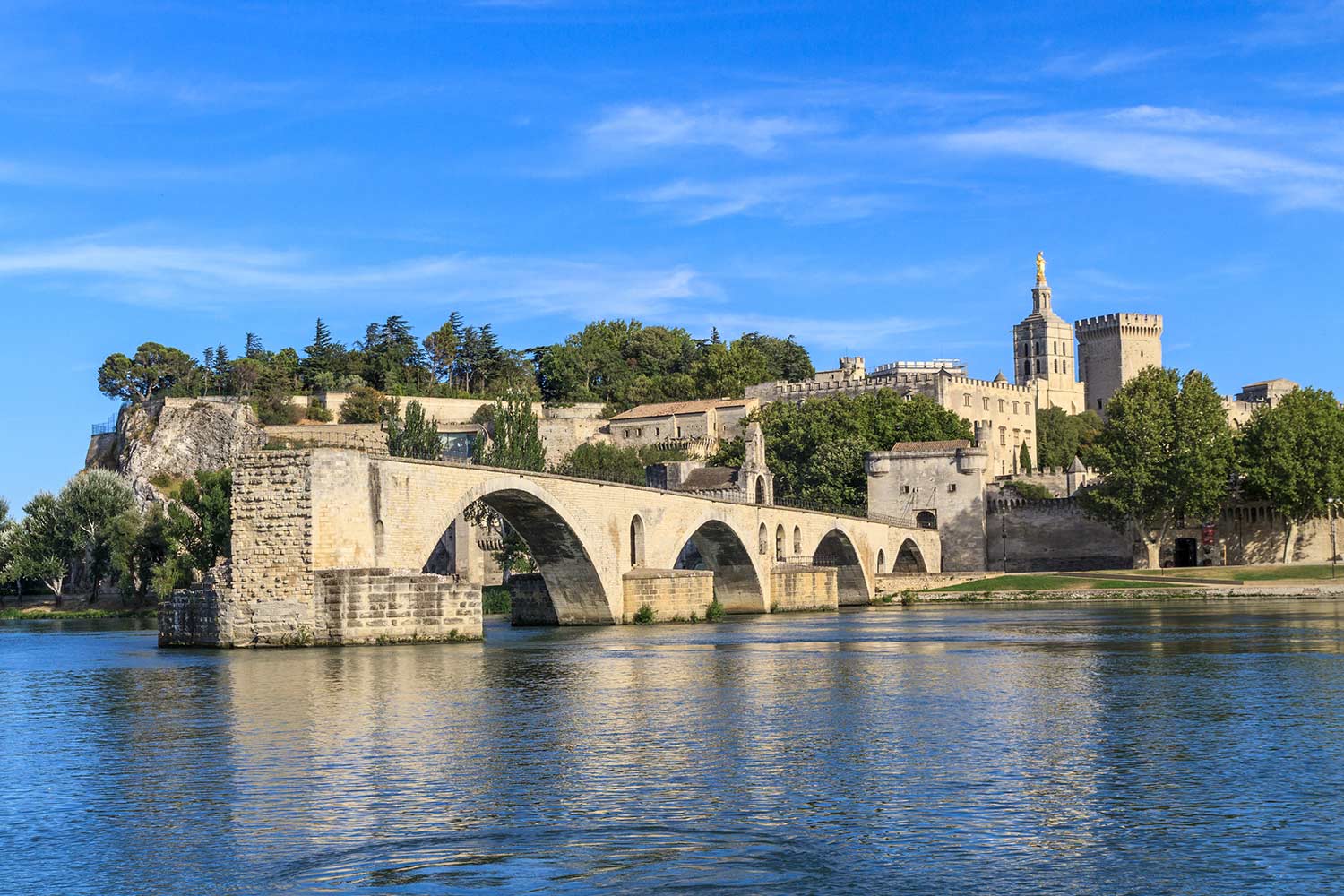 rhone vineyard tours