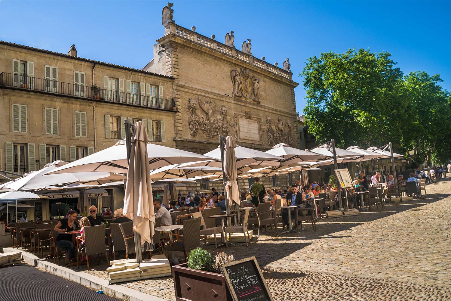 rhone vineyard tours