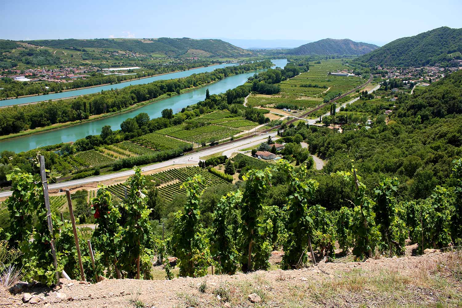 rhone vineyard tours