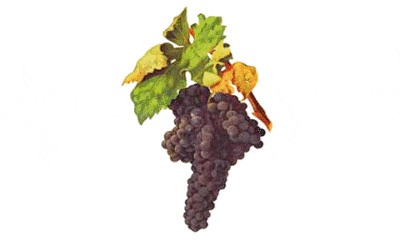 Tempranillo