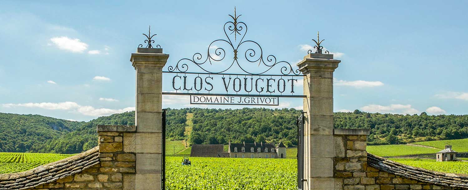 burgundy wine tour from lyon