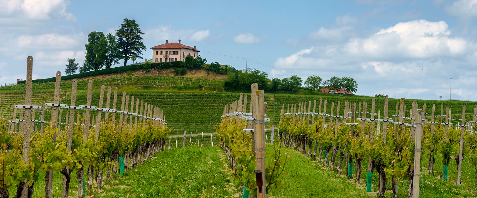 Langhe, Piedmont