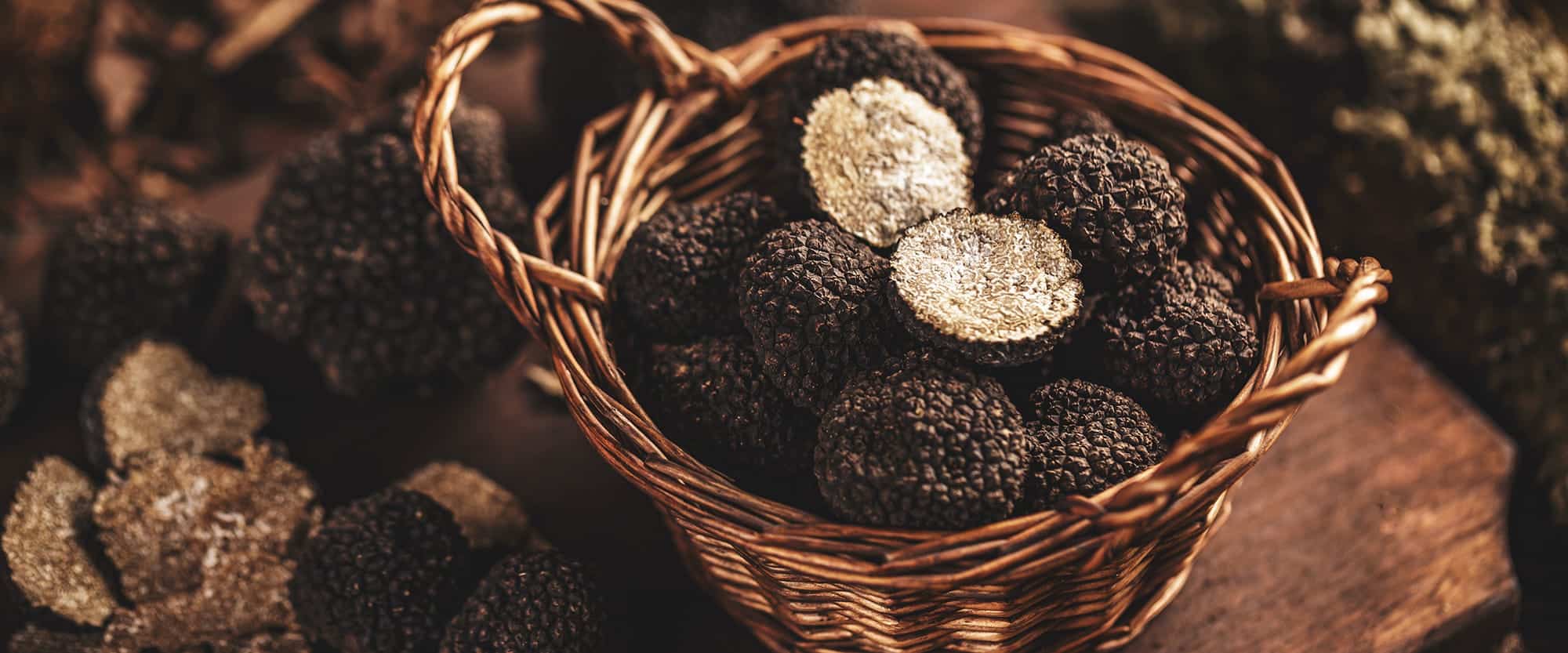 Black truffles