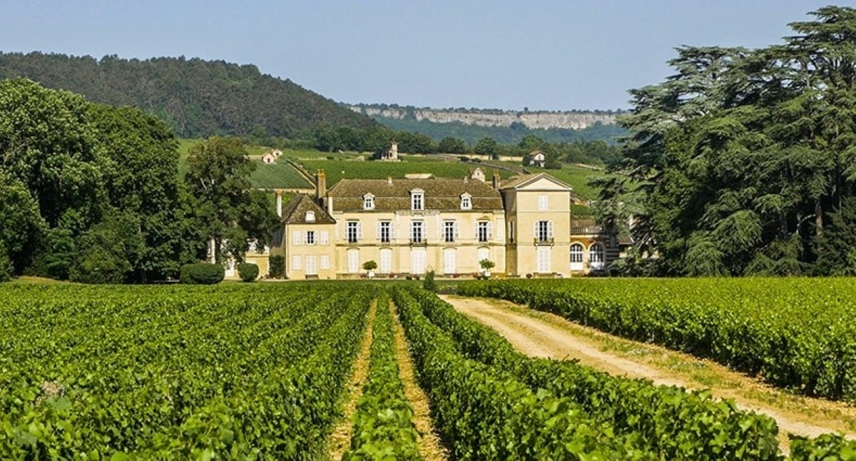 burgundy wine tour from lyon