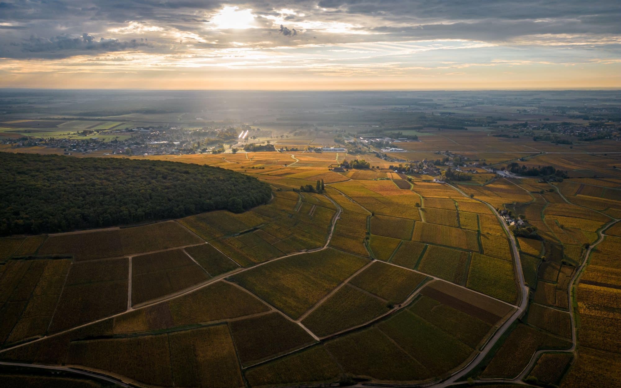 burgundy wine tour from lyon