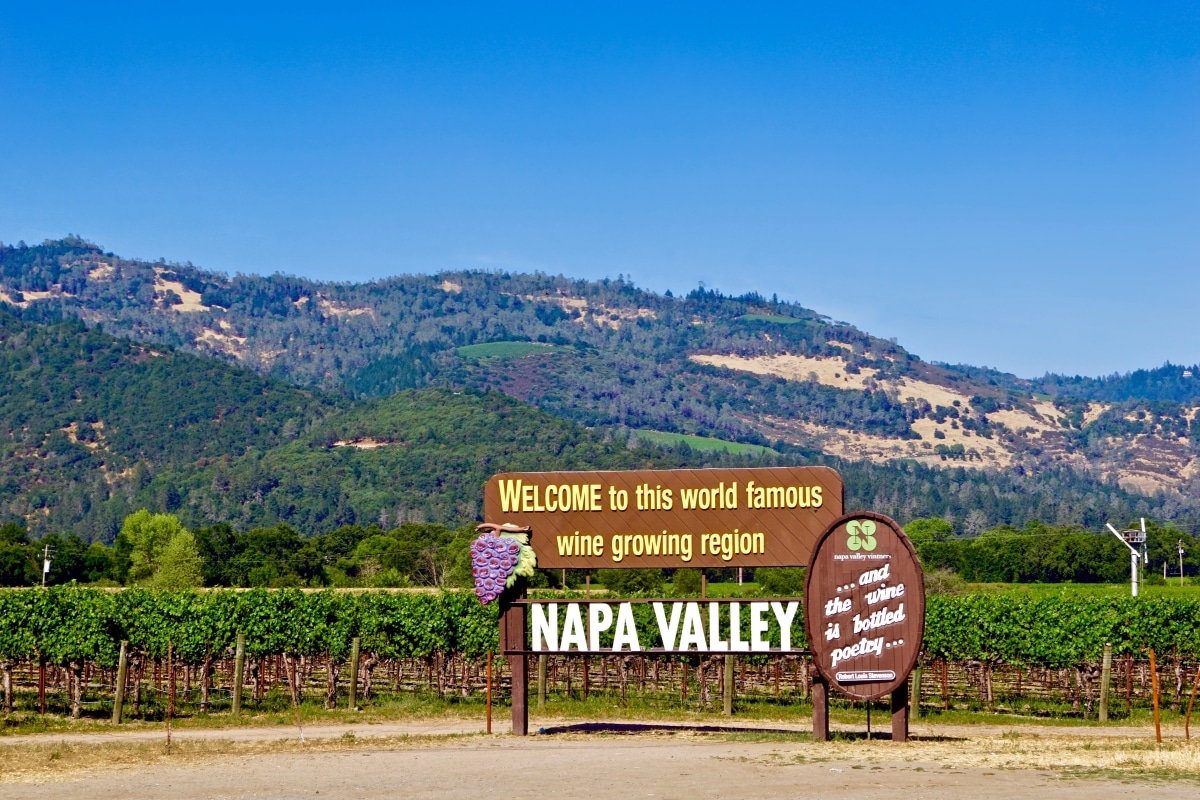 Wine Classes in Napa Valley | WSET Courses | Fine Vintage